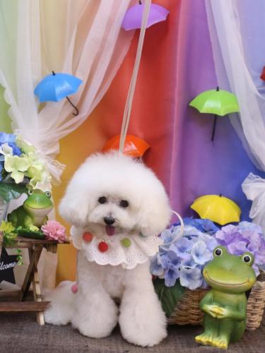 20230629チュッチュくん